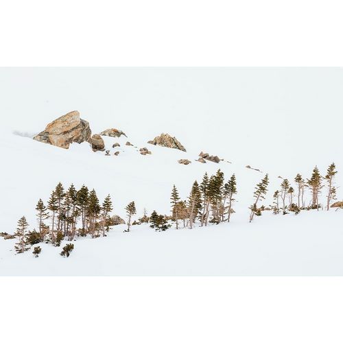 Archer, Ken 아티스트의 Alpine winter landscape작품입니다.